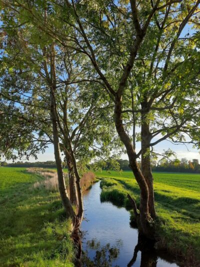 Auf den Spuren des Hachinger Bachs – Abendwanderung mit Gemeinderätin Pascale Kollwitz-Jarnac